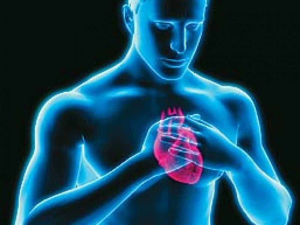 Ученые создали тест, распознающий наследственные болезни сердца ...